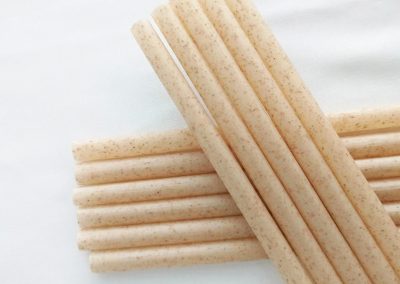 PLA Free Sugarcane Straw